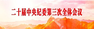 二十届中央纪委第三次全体会议
